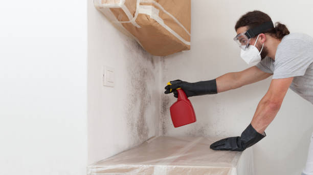 Professional Bathroom Mold Removal technician working in Allentown, PA