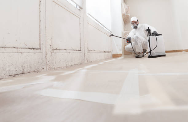 24/7 Emergency Bathroom Mold Removal experts in Allentown, PA