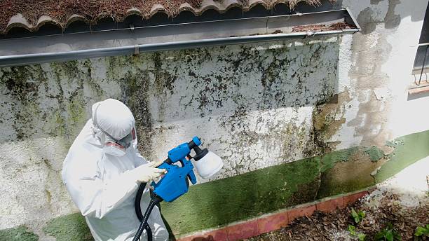 Top rated local Bathroom Mold Removal specialists in Allentown, PA